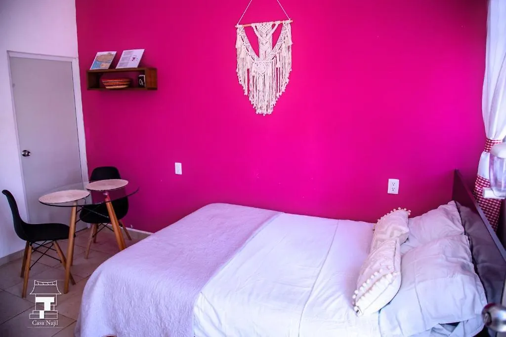Najil House St2 Apartment Bacalar